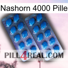 Rhino 4000 Pill viagra2